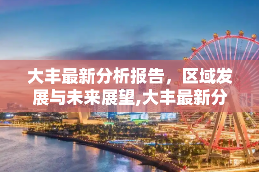 大丰最新分析报告，区域发展与未来展望,大丰最新分析报告