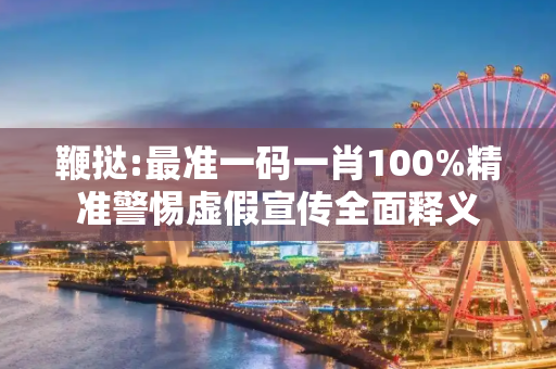 鞭挞:最准一码一肖100%精准警惕虚假宣传全面释义