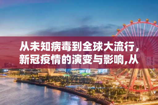从未知病毒到全球大流行，新冠疫情的演变与影响,从未知病毒到全球大流行