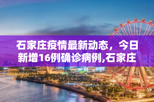 石家庄疫情最新动态，今日新增16例确诊病例,石家庄今日新增16例确诊病例
