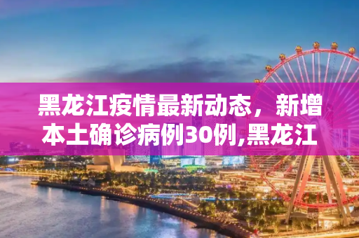 黑龙江疫情最新动态，新增本土确诊病例30例,黑龙江新增本土确诊病例30例