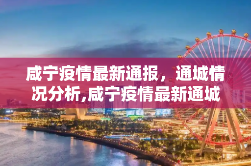 咸宁疫情最新通报，通城情况分析,咸宁疫情最新通城:咸宁疫情通报