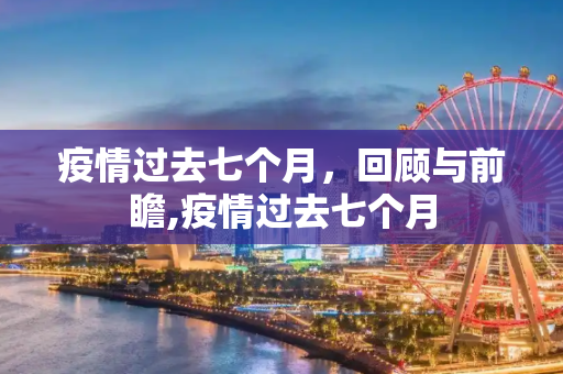 疫情过去七个月，回顾与前瞻,疫情过去七个月