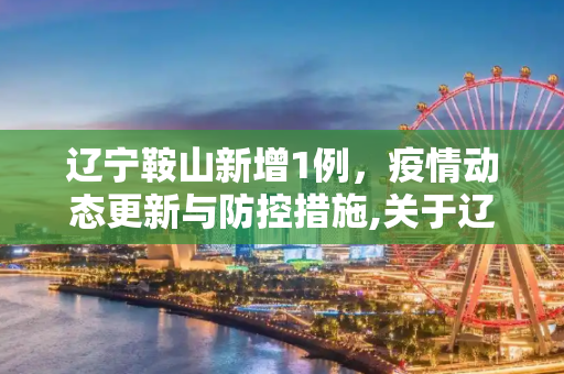 辽宁鞍山新增1例，疫情动态更新与防控措施,关于辽宁鞍山新增1例的信息