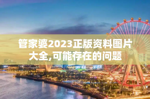 管家婆2023正版资料图片大全,可能存在的问题