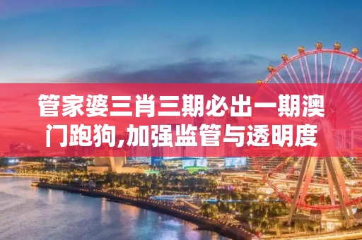 管家婆三肖三期必出一期澳门跑狗,加强监管与透明度