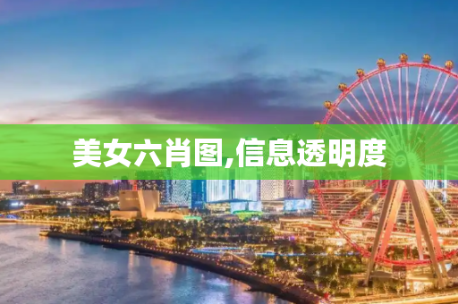 美女六肖图,信息透明度