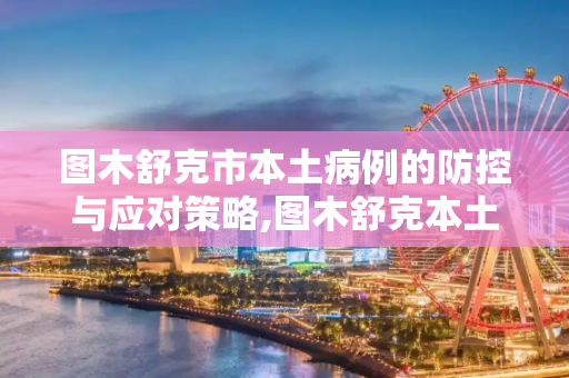 图木舒克市本土病例的防控与应对策略,图木舒克本土病例