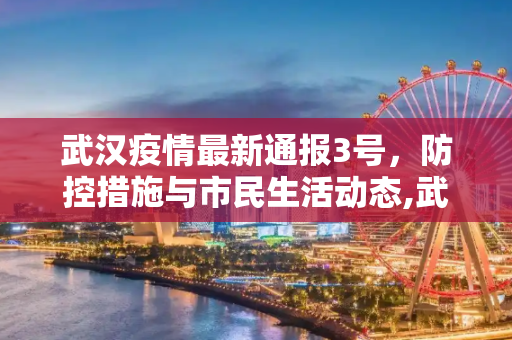 武汉疫情最新通报3号，防控措施与市民生活动态,武汉疫情最新通报3号