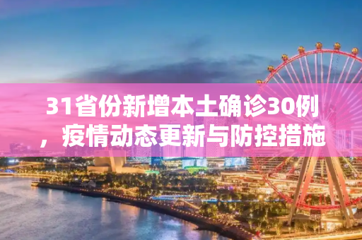 31省份新增本土确诊30例，疫情动态更新与防控措施,31省份新增本土确诊30例