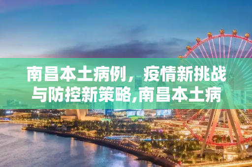 南昌本土病例，疫情新挑战与防控新策略,南昌本土病例